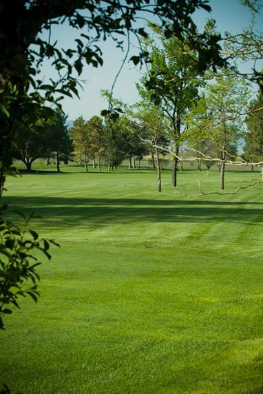 Cove View Golf Course