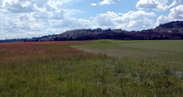 The Links Golf Course