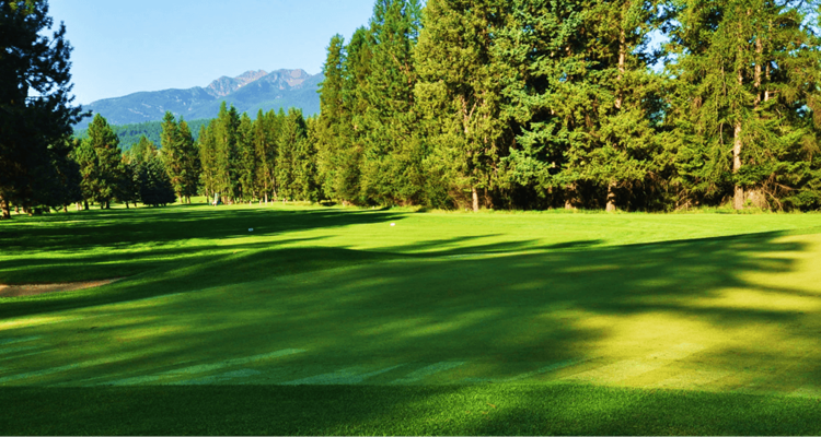 Cabinet View Golf Club