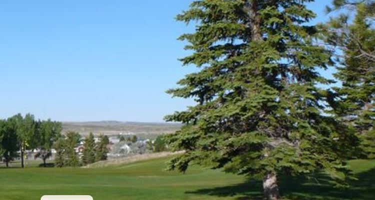Plentywood Golf Club