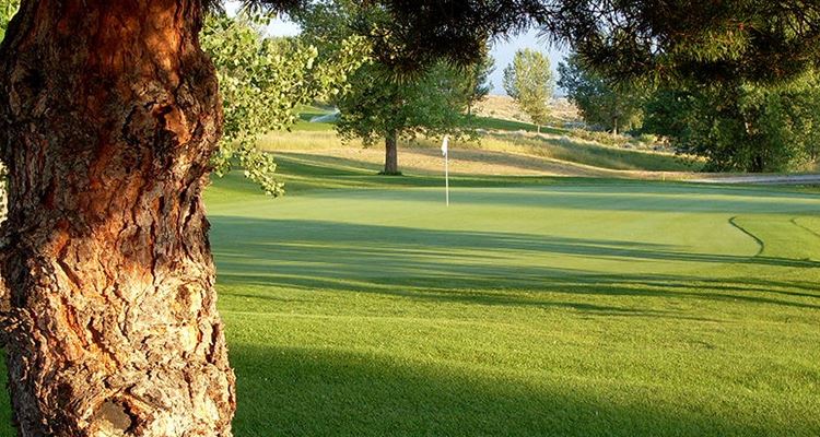 Pryor Creek Golf Club (Link Course)