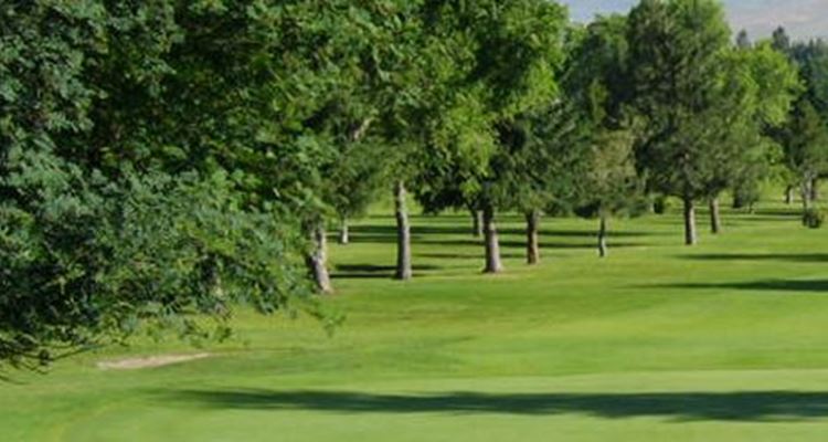University Golf Course