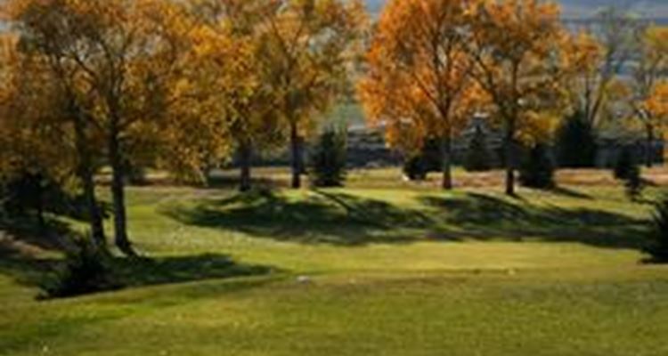 Douglas Golf Club