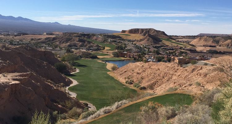 The Palmer at the Oasis Golf Club