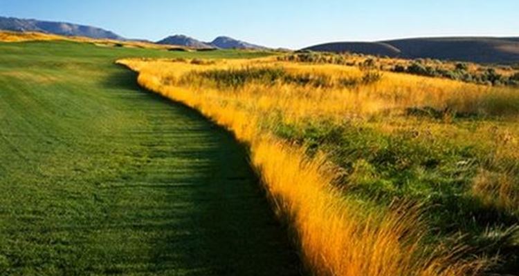 Genoa Lakes (The Ranch Course)